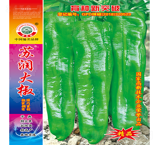 蘇潤大椒-辣椒種子-蘇潤種業(yè)
