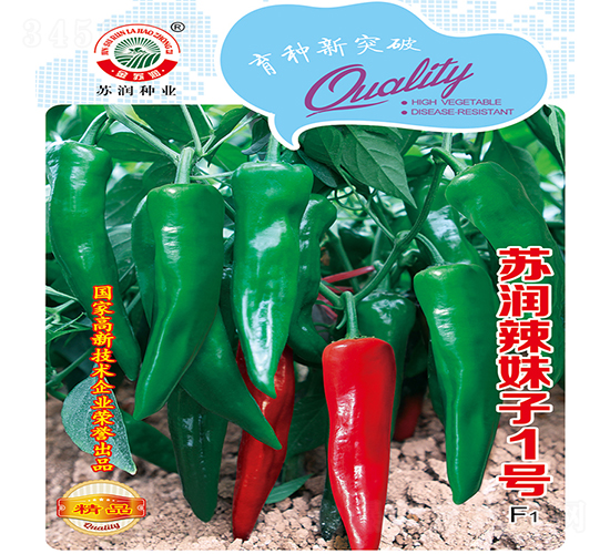 辣妹子1號(hào)-辣椒種子-蘇潤(rùn)種業(yè)