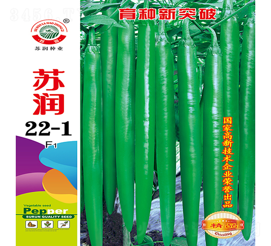 蘇潤22-1-辣椒種子-蘇潤種業(yè)
