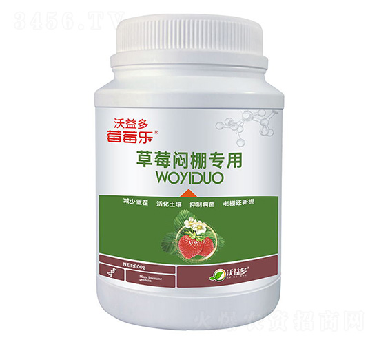 草莓悶棚專用微量元素水溶肥料-莓莓樂(lè)-沃益多