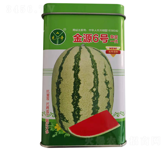 金源6號-西瓜種子-金種源