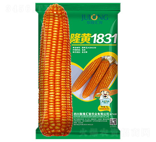 éš†é»ƒ1831-çŽ‰ç±³ç¨®å­-èšéš†åŒ¯æ™º