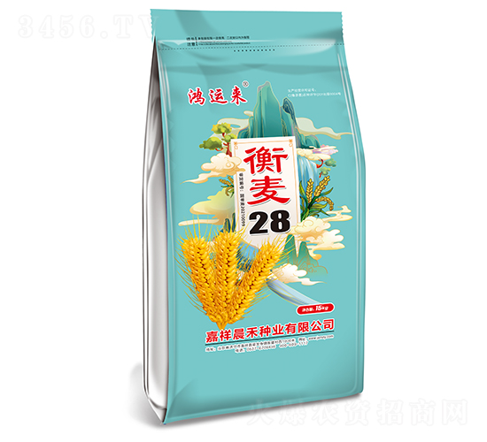 衡麥28小麥種子-鴻運來-晨禾種業(yè)