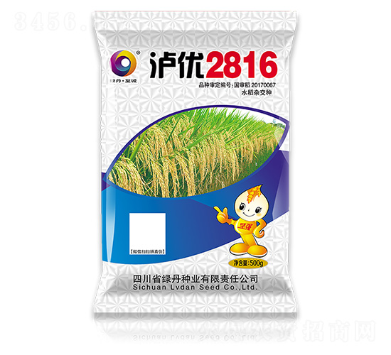 ç€˜å„ª(yÅu)2816-é‡‘è‰²ç¶ ä¸¹