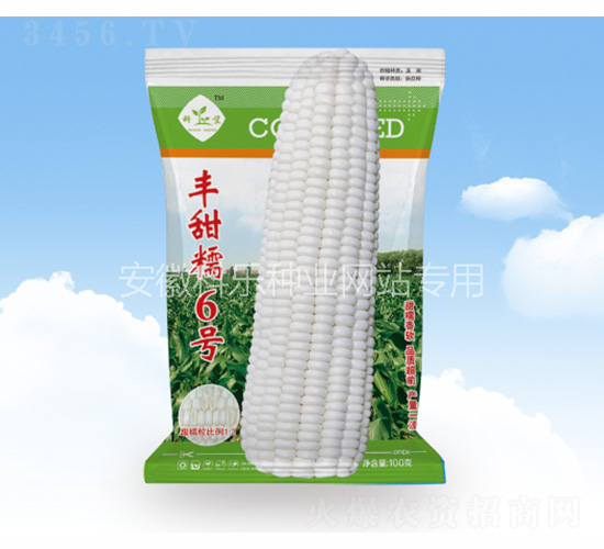 豐甜糯6號-科樂種業(yè)