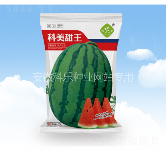 科美甜王-科樂種業(yè)