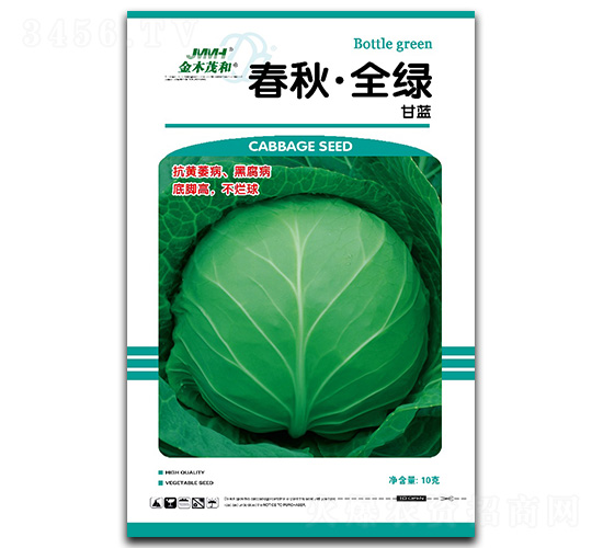 春秋全綠-甘藍種子-金木茂和