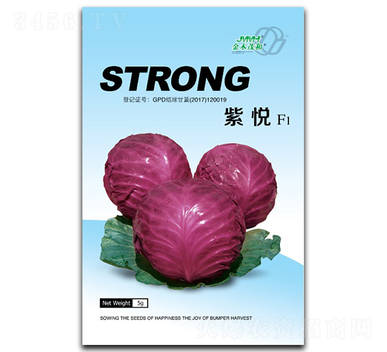 紫悅-甘藍種子-金木茂和