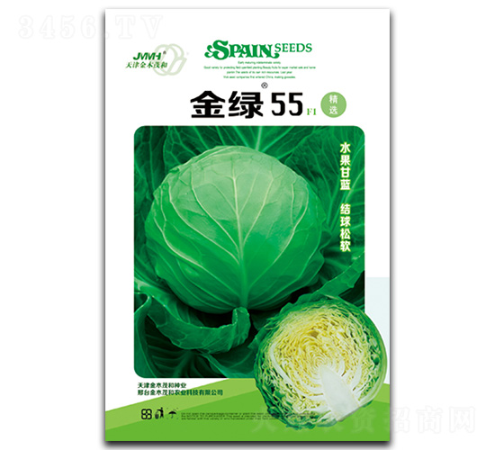 é‡‘ç¶ 55-ç”˜è—(lÃ¡n)ç¨®å­-é‡‘æœ¨èŒ‚å’Œ