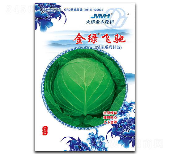 é‡‘ç¶ é£›é¦³-ç”˜è—(lÃ¡n)ç¨®å­-é‡‘æœ¨èŒ‚å’Œ