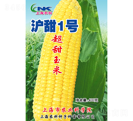 滬甜1號玉米種子-農(nóng)科種子