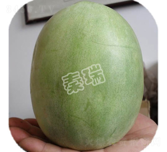 凌甜二號(hào)-甜瓜種子-秦瑞