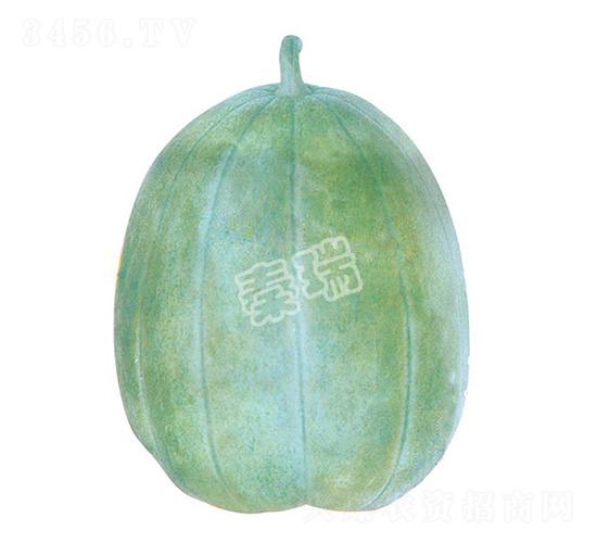 èŠéº»èœœ-ç”œç“œç¨®å­-ç§¦ç‘ž