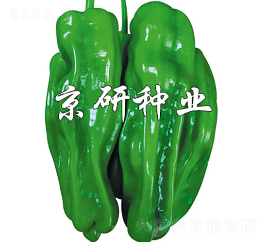 åšæ‚…2è™Ÿ(hÃ o)-è¾£æ¤’ç¨®å­-äº¬ç ”ç¨®æ¥­(yÃ¨)