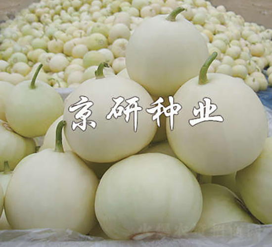 äº¬çŽ‰352-ç”œç“œç¨®å­-äº¬ç ”ç¨®æ¥­(yÃ¨)