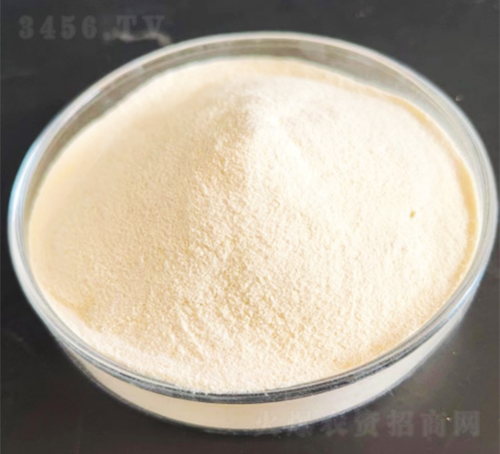 多肽-灃瑞生物