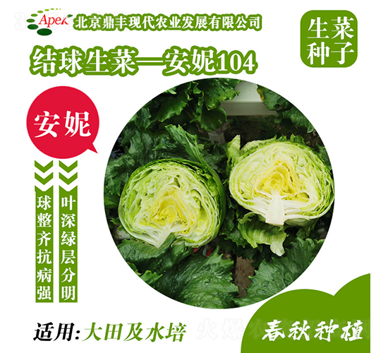 å®‰å¦®104-ç”Ÿèœç¨®å­-é¼Žè±è¾²(nÃ³ng)æ¥­(yÃ¨)