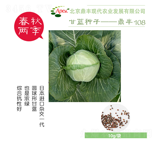 鼎豐108-甘藍(lán)種子-鼎豐農(nóng)業(yè)