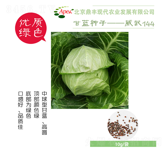 威武144-甘藍種子-鼎豐農(nóng)業(yè)