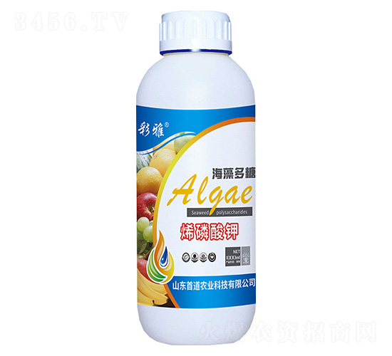 烯磷酸鉀-海藻多糖-彩雅-首道農業(yè)