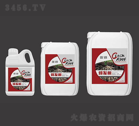 çˆ†ç™¼(fÄ)æ ¹-é¦–é“è¾²(nÃ³ng)æ¥­(yÃ¨)
