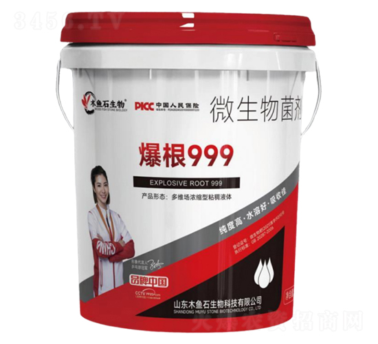 爆根999-木魚(yú)石