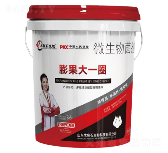 膨果大一圈-木魚(yú)石