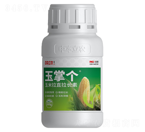 玉米拉直拉長素-玉掌個(gè)-中本立農(nóng)