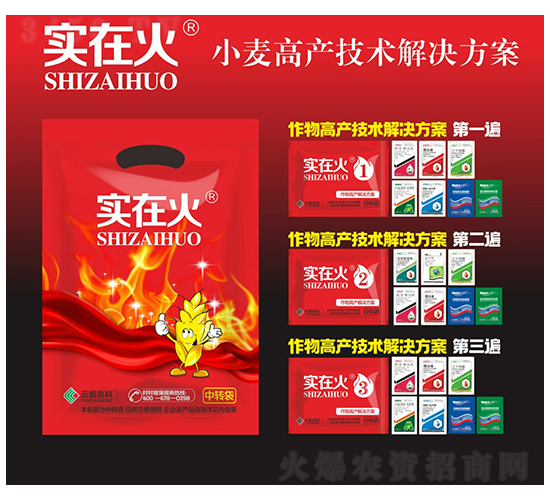小麥高產(chǎn)技術(shù)解決方案-實在火-紅太陽