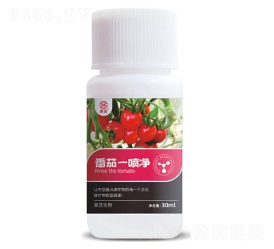 ç•ªèŒ„ä¸€å™´å‡ˆ-æžœèŒ‚ç”Ÿç‰©