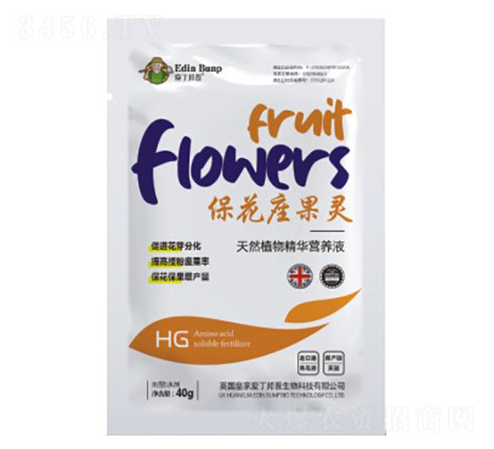 ?；ㄗ`-愛(ài)丁邦普