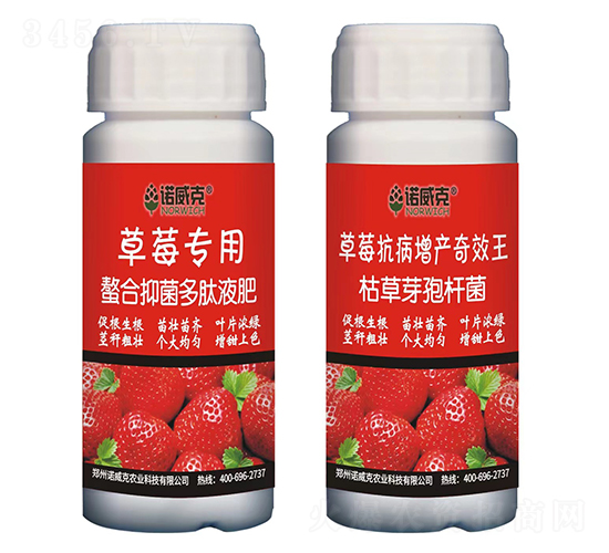 è‰èŽ“å°ˆç”¨èž¯åˆæŠ‘èŒå¤šè‚½æ¶²è‚¥+è‰èŽ“æŠ—ç—…å¢žç”¢(chÇŽn)å¥‡æ•ˆçŽ‹-è«¾å¨å…‹