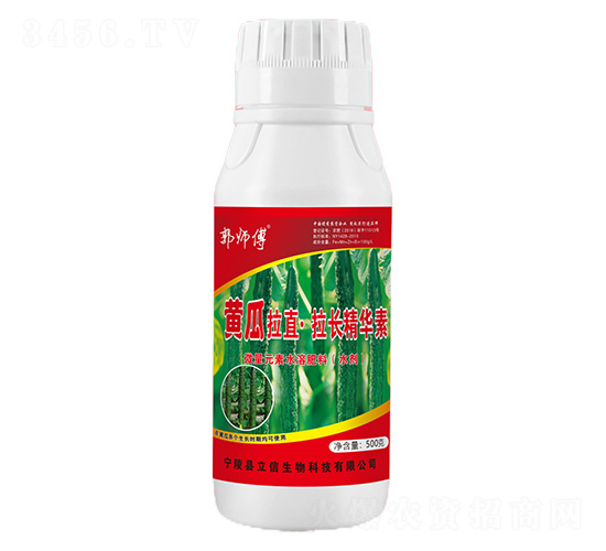 黃瓜增長高產精華素-郭師傅-立信生物