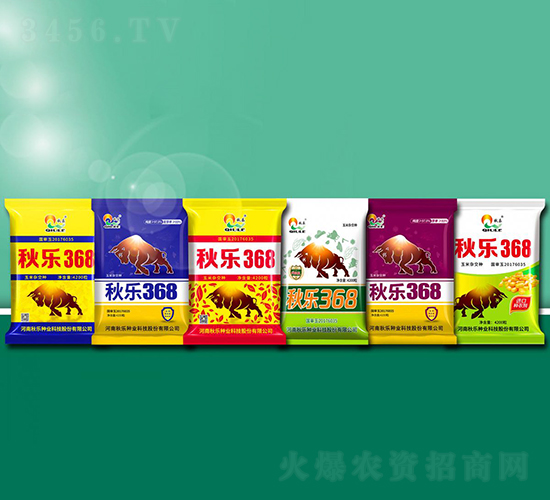 秋樂(lè)368-玉米種子-秋樂(lè)種業(yè)