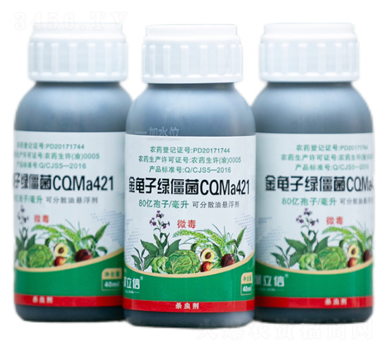 é‡‘é¾œå­ç¶ åƒµèŒCQMa421æ²¹æ‡¸æµ®åŠ‘-èšç«‹ä¿¡ç”Ÿç‰©