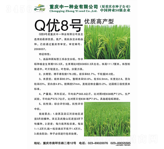 Q優(yōu)8號(hào)-水稻種子-神農(nóng)科技