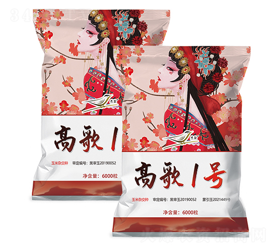 高歌1號(hào)-玉米種子-富爾農(nóng)藝
