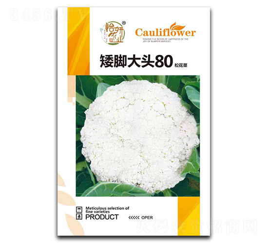 çŸ®è…³å¤§é ­80æ¾èŠ±èœç¨®å­-æ€¡å¦è¾²(nÃ³ng)æ¥­(yÃ¨)