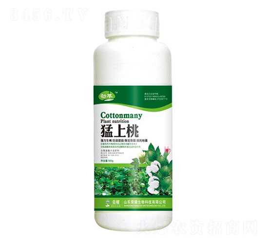 猛上桃（500g）-勁萃-榮耀農業(yè)