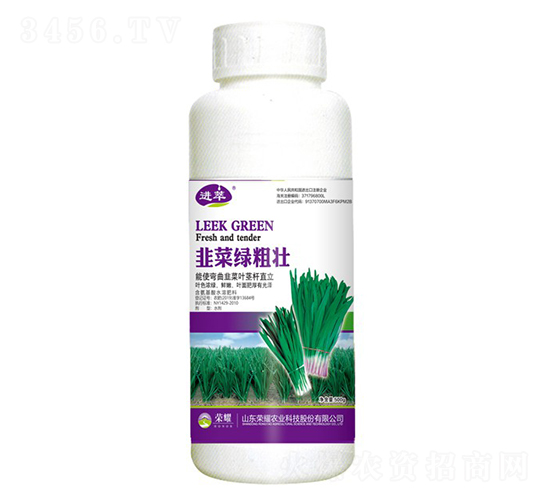 韭菜綠粗壯（500g）-進萃-榮耀農(nóng)業(yè)