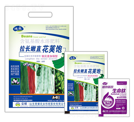 拉長嫩直花莢飽-進(jìn)萃-榮耀農(nóng)業(yè)