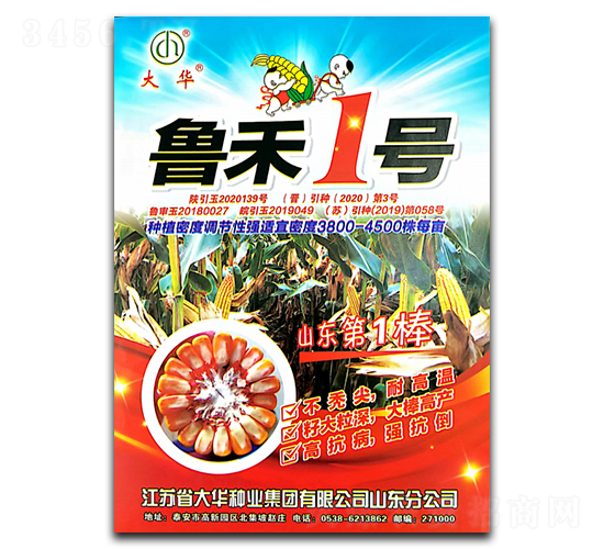 魯禾1號(hào)-玉米種子-陜墾大華