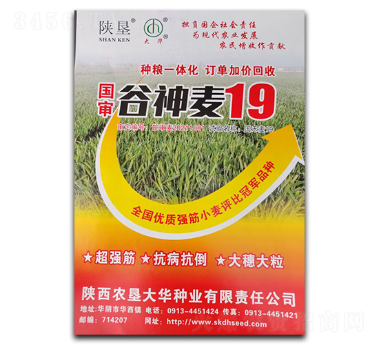 è°·ç¥žéº¥19-å°éº¥ç¨®å­-é™œå¢¾å¤§è¯