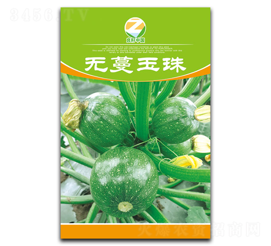 無(wú)蔓玉珠-小南瓜種子-良籽農(nóng)業(yè)