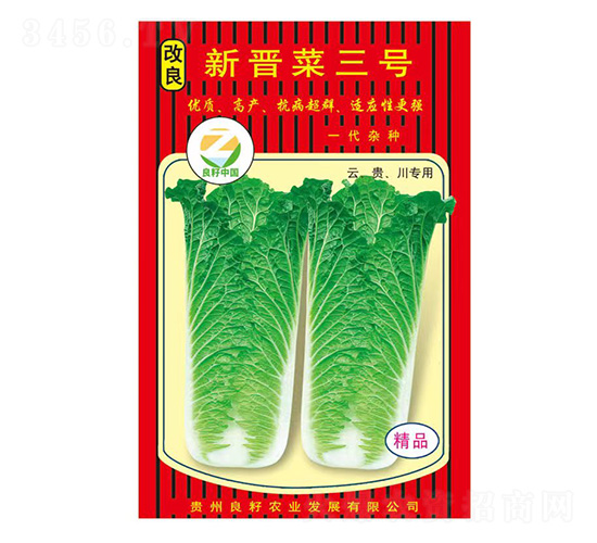 白菜種子-改良新晉菜三號-良籽農(nóng)業(yè)