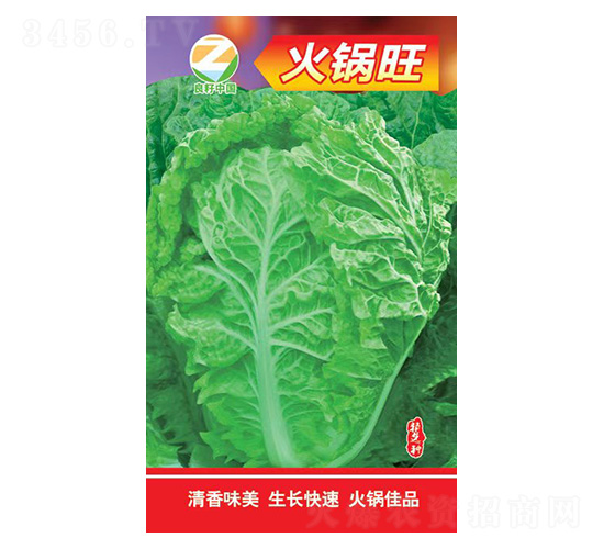 白菜種子-火鍋旺-良籽農業(yè)
