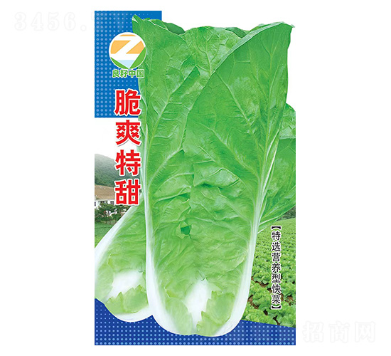 ç™½èœç¨®å­-è„†çˆ½ç‰¹ç”œ-è‰¯ç±½è¾²(nÃ³ng)æ¥­(yÃ¨)