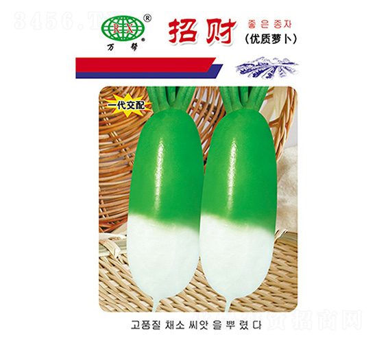 招財蘿卜種子-萬邦種業(yè)