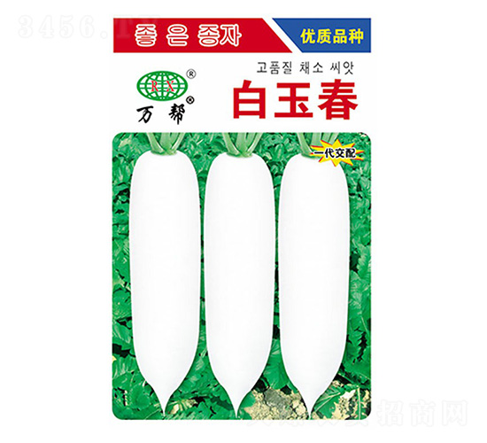 白玉春蘿卜種子-萬邦種業(yè)