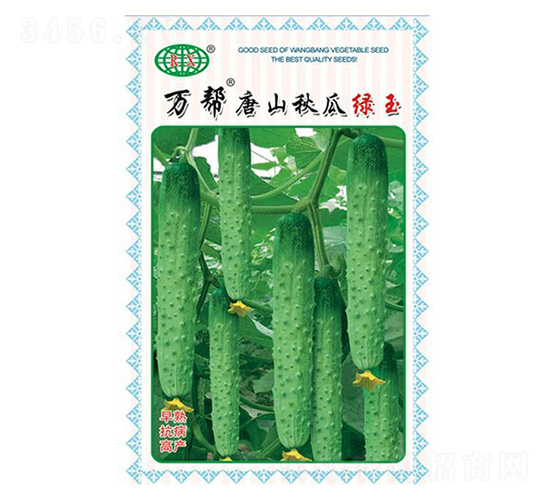 萬(wàn)幫唐山秋瓜綠玉黃瓜種子-萬(wàn)邦種業(yè)